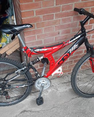  bici ragazzo