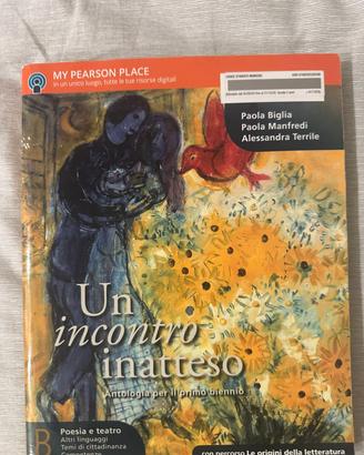 Antologia - un incontro inatteso