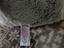 Immagine 4
