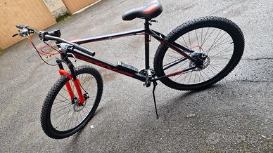 Bici per adult
