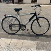 Bicicletta in Alluminio