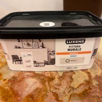 Pittura murale lavabile LUXENS