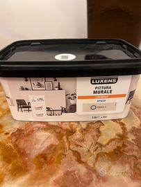 Pittura murale lavabile LUXENS