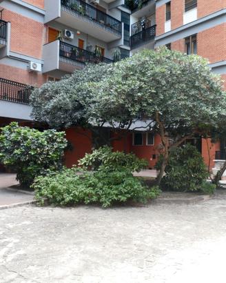 Appartamentini via Gioberti