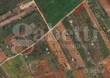 Baita/Chalet/Trullo Nardò [Cod. rif 3210210VRG]