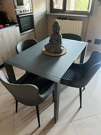 Tavolo e sedie in vetro grigio matt