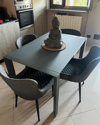 Tavolo e sedie in vetro grigio matt