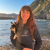 Baby sitter, aiuto compiti, dog sitter
