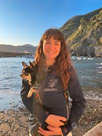 Baby sitter, aiuto compiti, dog sitter