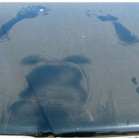 Donna speciali servizi factotum