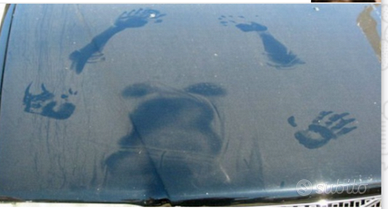 Donna speciali servizi factotum