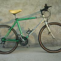Bicicletta Mountain bike verde