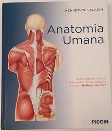 Anatomia Umana