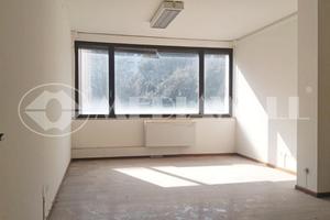 Pentalocale a Pordenone