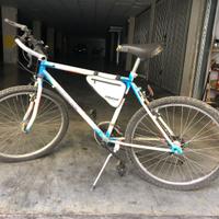 Bici MTB Mountain Bike Adriatica