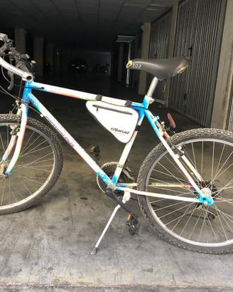 Bici MTB Mountain Bike Adriatica