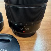 Panasonic Lumix G Vario 12-60mm f/3.5-5.6 OIS