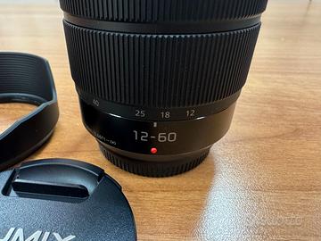 Panasonic Lumix G Vario 12-60mm f/3.5-5.6 OIS
