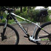 Mtb cannondale