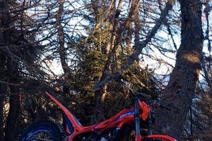 Trial beta evo 300 2t