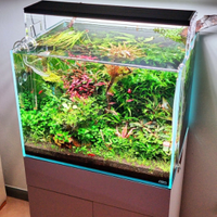 Acquario extrachiaro Ada con mobile e led