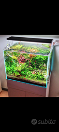 Acquario extrachiaro Ada con mobile e led