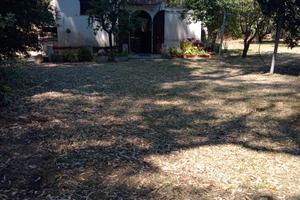 Agrumeto con casa accatastata - 120.000