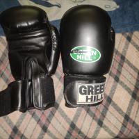 guantoni pugilato green Hill 