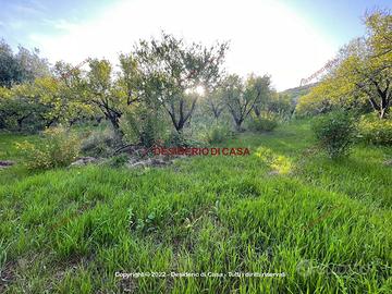 Terreno, Lascari.