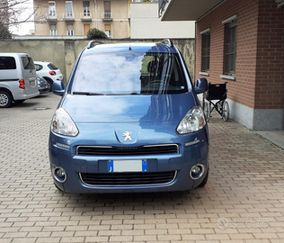 Furgone per disabili