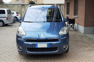 Furgone per disabili