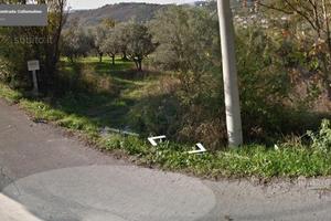 Terreno edificabile e agricolo con oliveto