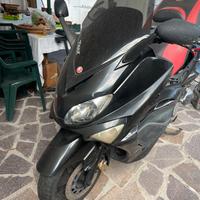 T Max