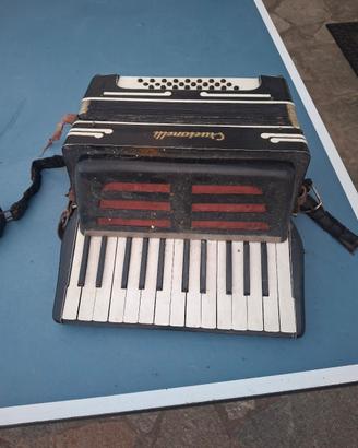 fisarmonica