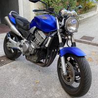 Honda hornet