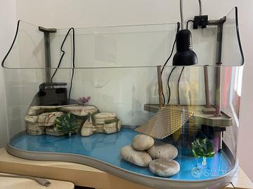 Acquaterrario per tartarughe