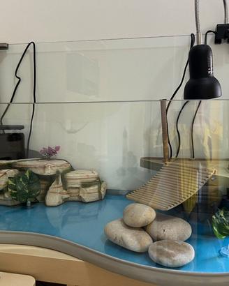 Acquaterrario per tartarughe