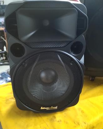 cassa amplificata con batteria 