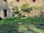 Immagine 7