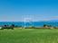 Immagine 14