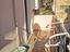 Immagine 11