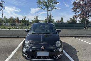 500 Hybrida Dolcevita 2023