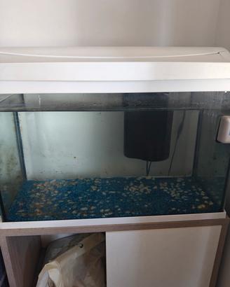 acquario Tetra 60 litri 