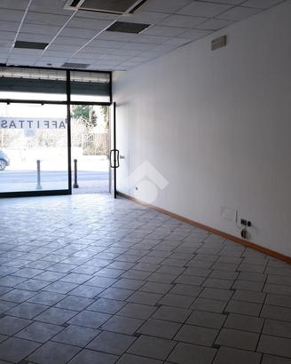 NEGOZIO A CAPRIOLO