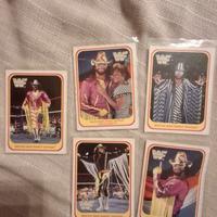 wf merlin 1991 macho man randy savage