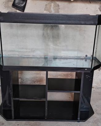 Acquario/teca