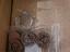 Immagine 5
