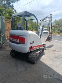 Bobcat