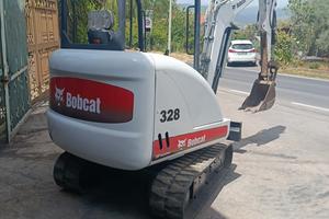 Bobcat