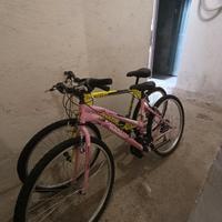 2 Bici Mountain bike uomo e donna